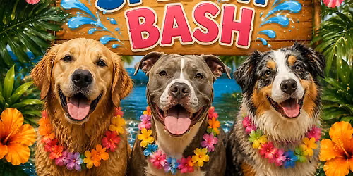 Anniversary  Splash Bash at The Local Bark Park