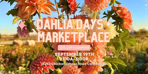 Pumpkin Days + Marketplace