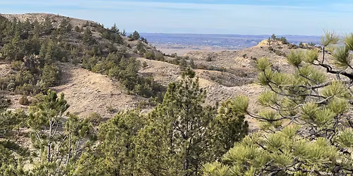 Strawberry Hill Ride