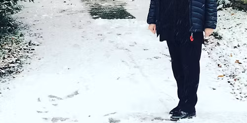 Christmas Tree Festival