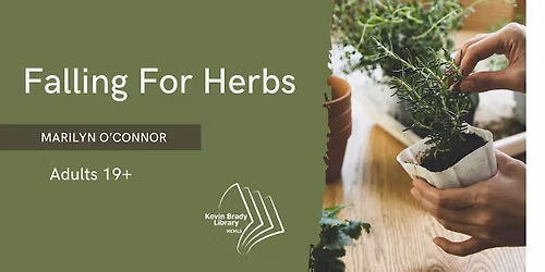 Falling Into Herbs