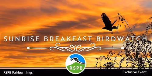 Sunrise Breakfast Birdwatch- RSPB Fairburn Ings