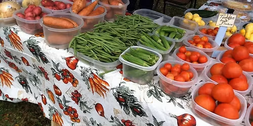 Port St Joe Salt Air Farmers Market 