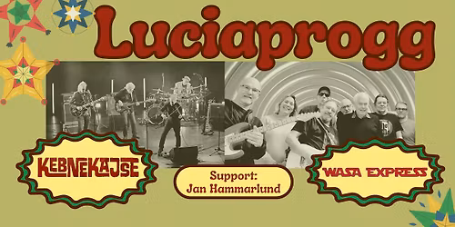 Luciaprogg