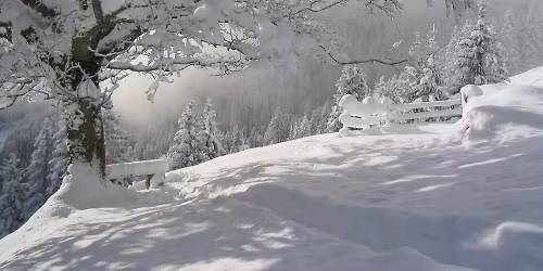 Gro\u00dfes Weihnachtssingen 2025