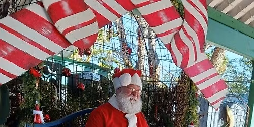 Santa at Harlow Gardens
