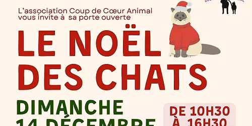 Le No\u00ebl des Chats - N\u00eemes