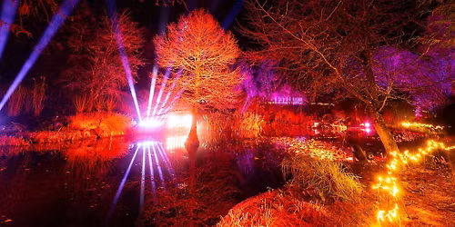 Parking Mamma Mia! - Wilmington