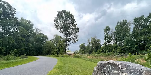 New Year's Day parkrun