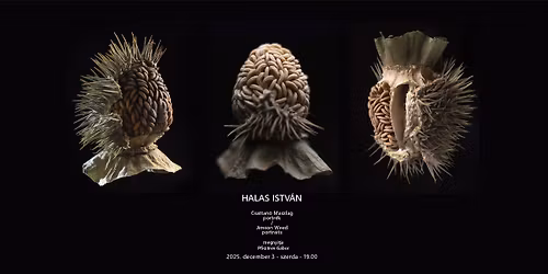 HALAS ISTV\u00c1N Csattan\u00f3 maszlag portr\u00e9k \/ Jimson W**d portraits