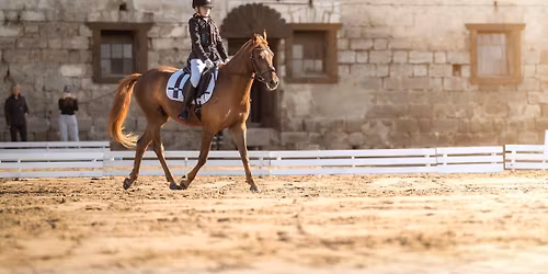 Drezurn\u00ed z\u00e1vody 