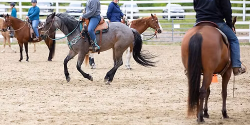 Luke Reinbold Confidence Through Horsemanship Clinic