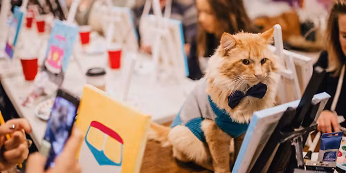Cats & Canvas - Paint with Cats!