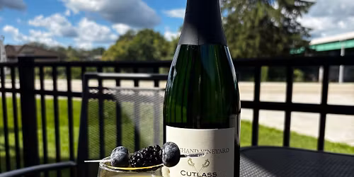 Brunch, Bingo & Bubbly!