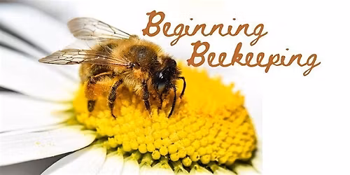 Beginning Beekeeping 100 (short course) 2026