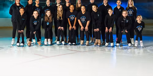 Winter Ice Show & Silent Auction