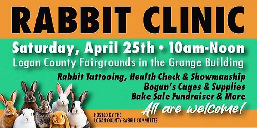 Rabbit Clinic