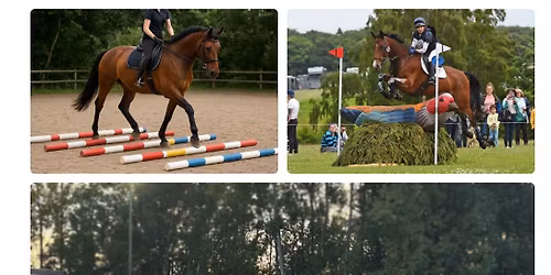 Flat work, pole and jumping clinic with Louise Harwood