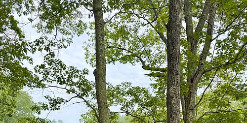 Hiking Yoga with Yoga on York at York Land Trust