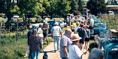 "Abrollen" beim Rheingauer Oldtimer Picknick am 6. September 2026