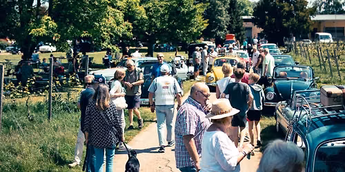 "Abrollen" beim Rheingauer Oldtimer Picknick am 6. September 2026