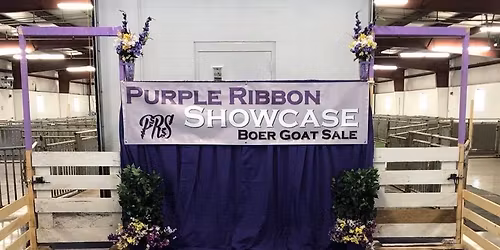 Purple Ribbon Showcase 
