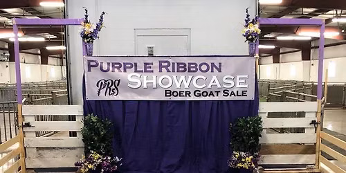 Purple Ribbon Showcase