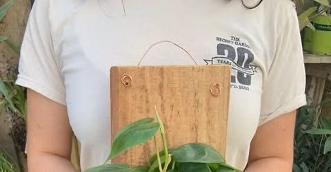 Plant Mount Workshop 8\/9 11am