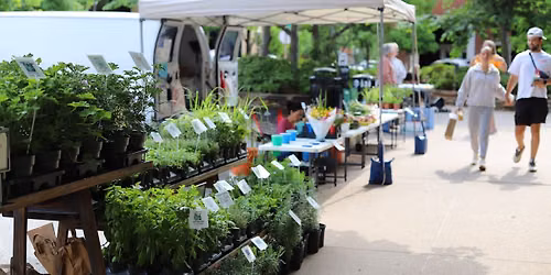 Thursday Morning Market