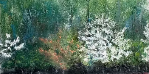 First Friday: Paul DiStefano \u2014 Soft Pastel Landscapes