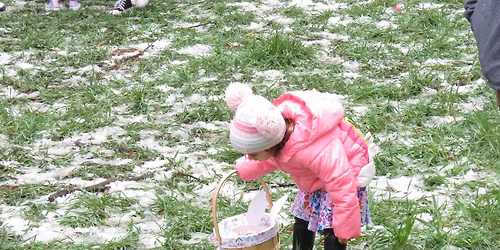 Chocolate Bunny Egg Hunt