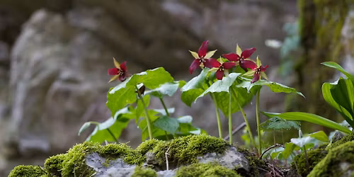 Habitat and Heritage Day