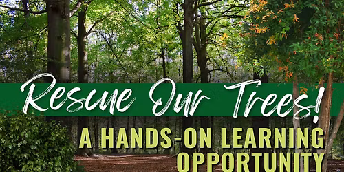 Rescue Our Trees! A Hands-On Learning Opportunity