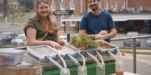 Pollinators in Your Yard