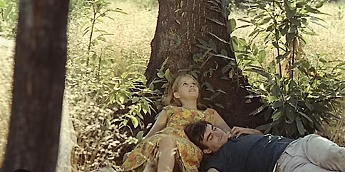 Movie screening - Le Bonheur (with Eng sub)