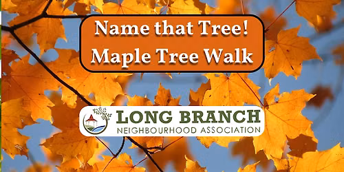 Canada Day! Maple Trees Walking Tour