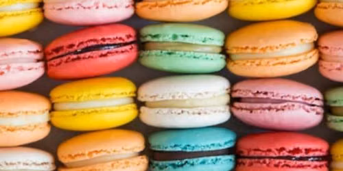 Classic French Macarons - Tampa — Katch Bistro at The Karol Hotel St. Petersburg Clearwater