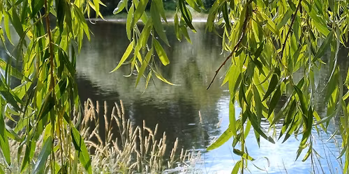 THE TRENT 12K PART 1