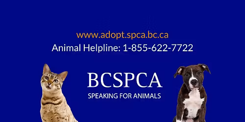 BC SPCA Holiday Market