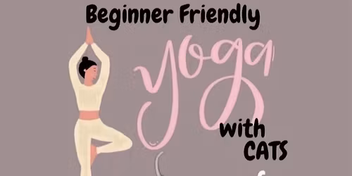 Yoga Time with Cats! By Michelle- book online