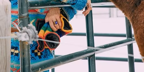 O neverb\u00e1ln\u00ed komunikaci se zv\u00ed\u0159aty a je\u0161t\u011b v\u00edc\u2026- p\u0159edn\u00e1\u0161ka s Loesje Jacob v Praze