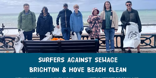 SAS Million Mile Brighton and Hove beach clean