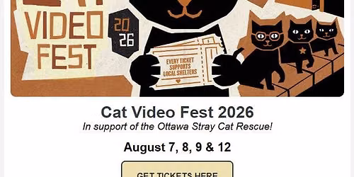 ByTown Cinema cat Video Frst
