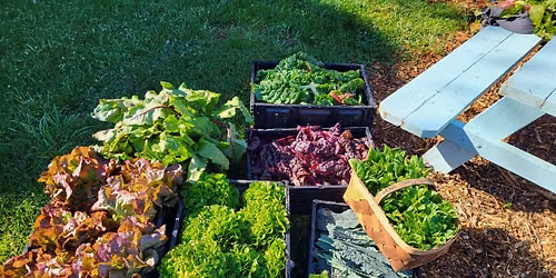 Wednesday Evening Garden Sessions