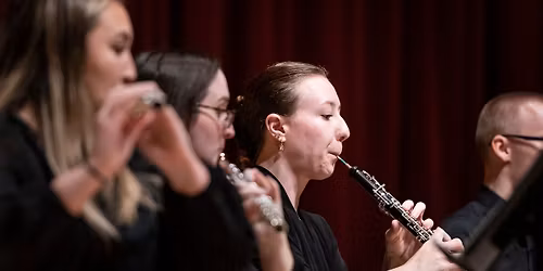 Of Sailors and Whales