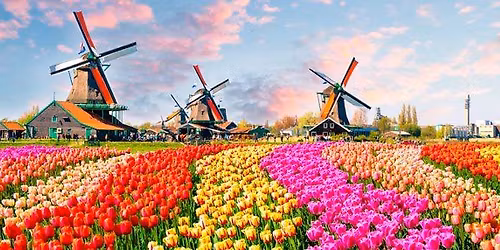 Nepakartojamas spalvingasis g\u0117li\u0173 paradas Olandijoje 2026.04.15-20 d GARANTUOTA. LIKO 2 VIETOS