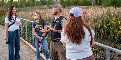 Nocturnal Tour: International Beaver Day