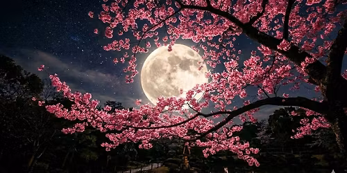 Full Moon Reiki Meditation