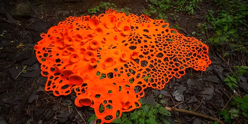 Vernissage Trames composites