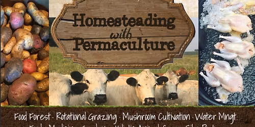 HOMESTEADING & PERMACULTURE 101